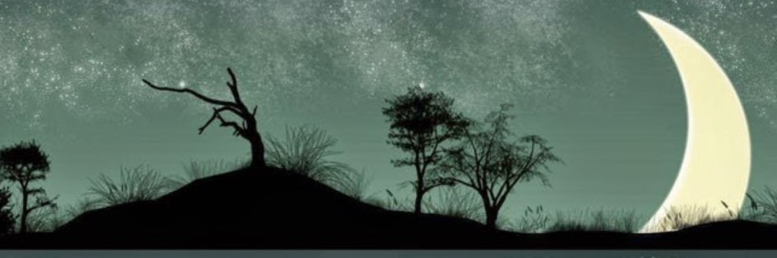 سراج الزهراني's banner