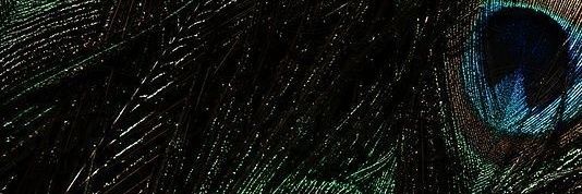 издевательский мудрец | sin what | 避开尘俗 | banner