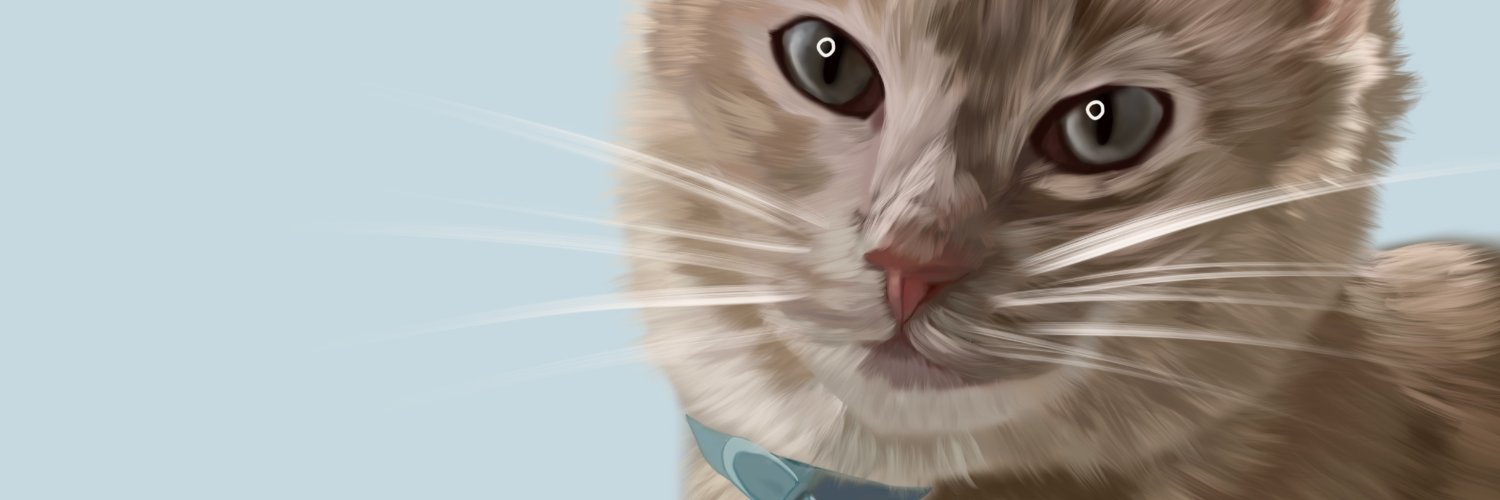 lineys's profile banner image
