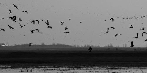 Nuria Moreno banner