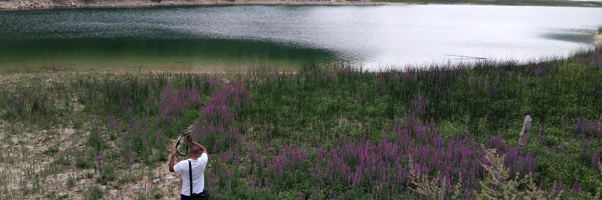 Gratel Frod 🇷🇪 banner