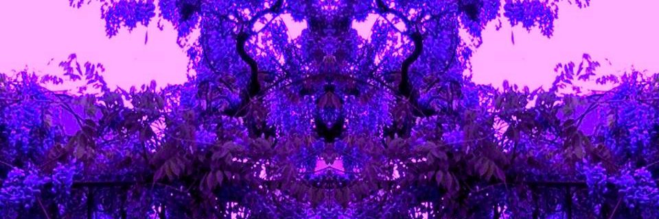 LeilaRaspberry's profile banner image
