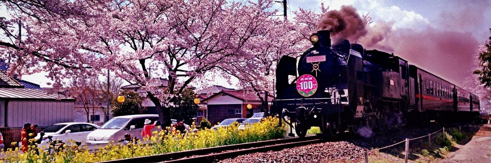 たて banner