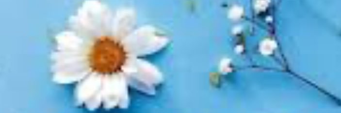 RREFAL11's profile banner image