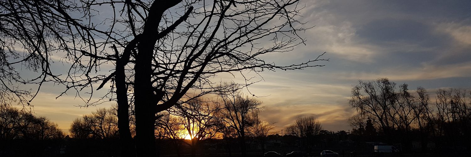_Soycam's profile banner image