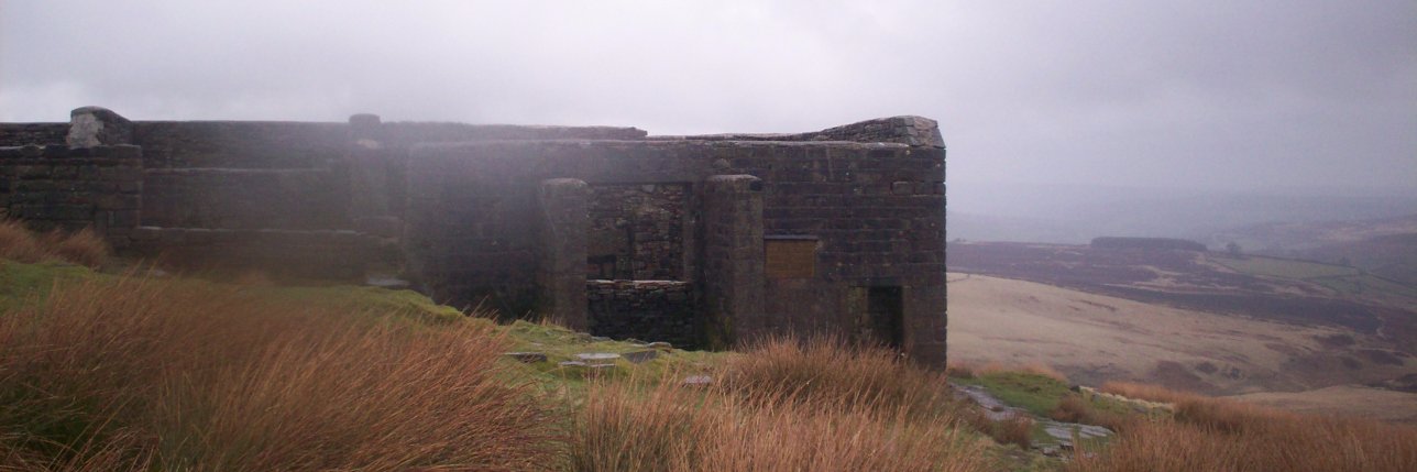 Emanuela S🤟🟦 🇺🇦 🇮🇱🦁🇮🇷 banner