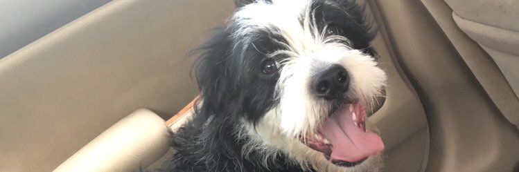 papicitoooo's profile banner image