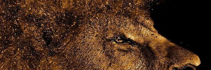 Jaed_000's profile banner image