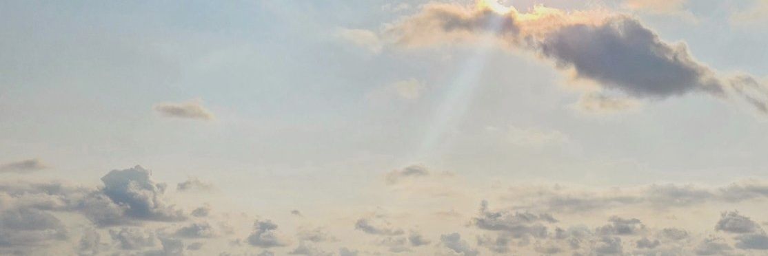 vinitann's profile banner image
