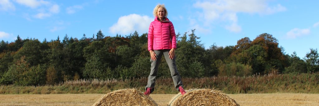 JayneMoore9's profile banner image
