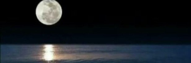 202Aseier's profile banner image