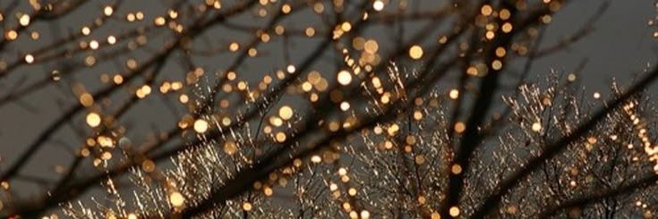 Aditi Sharma banner