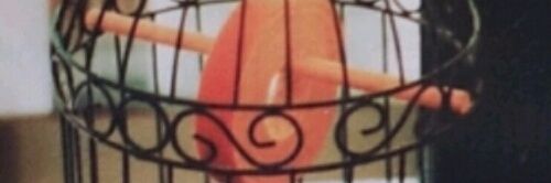 b_g_m_'s profile banner image