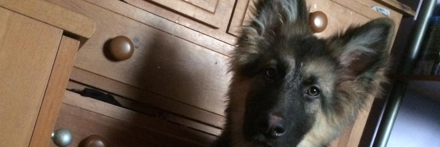 jaggedjayy's profile banner image