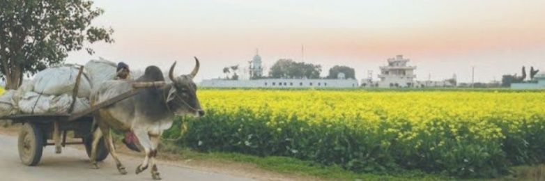 bajajhs's profile banner image