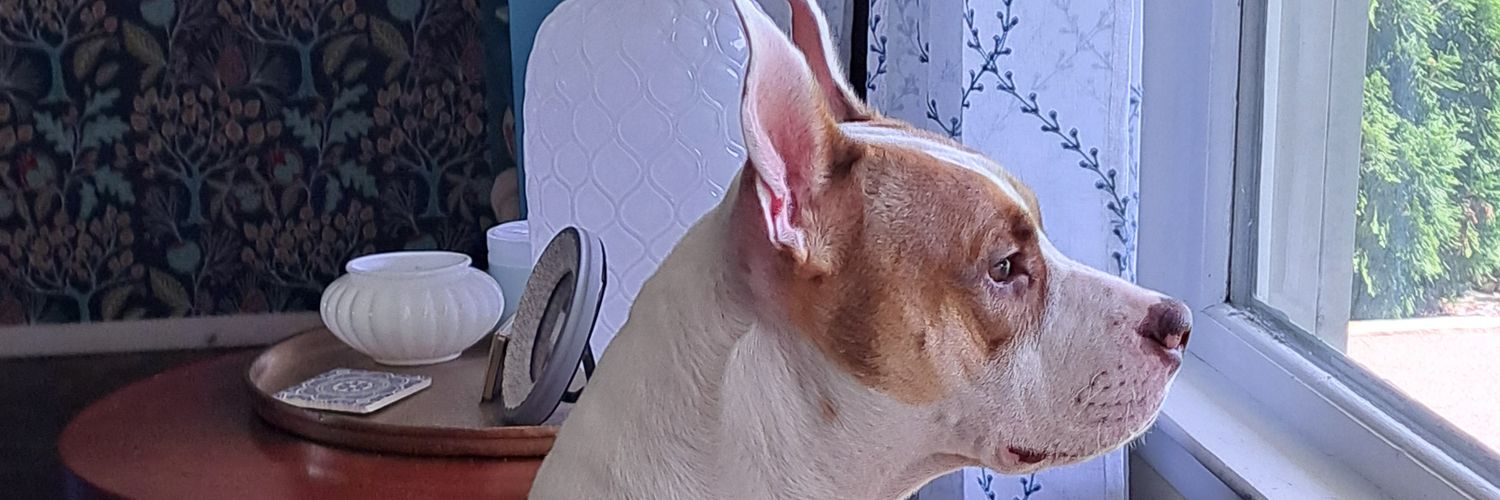 ventingoffsteam's profile banner image