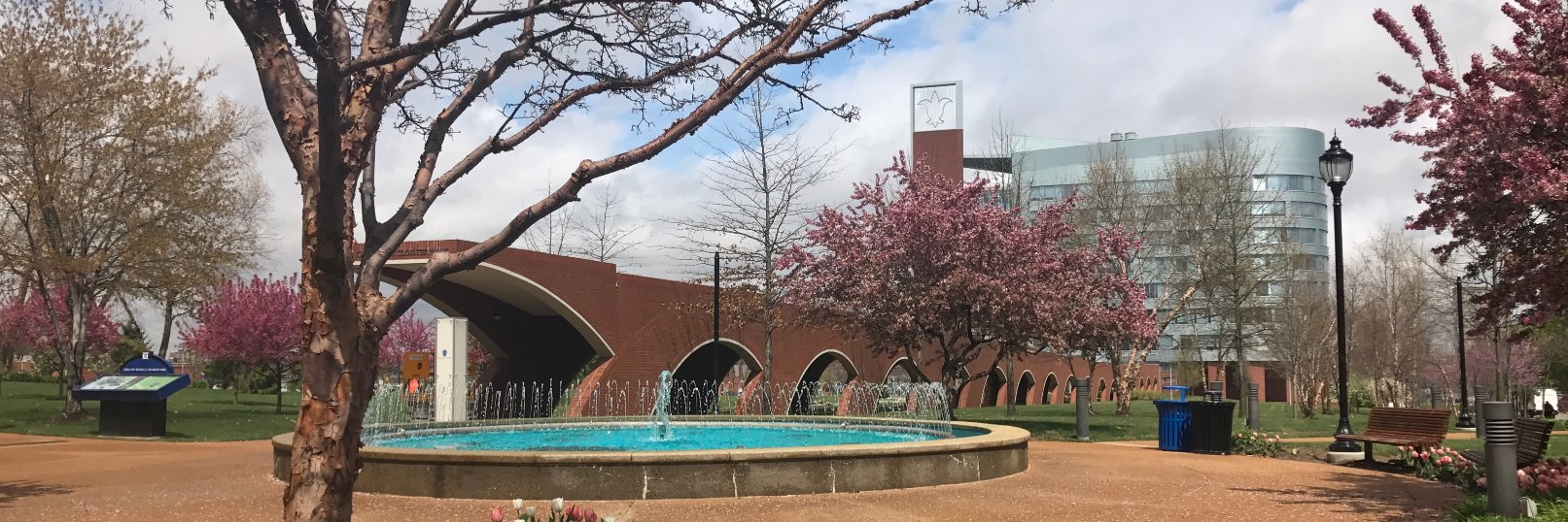 SLUHealthNews banner