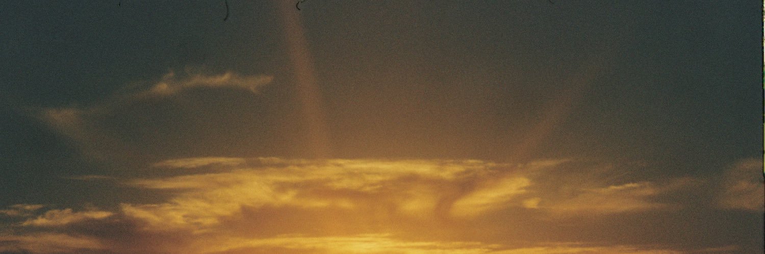 tazzyasmith's profile banner image