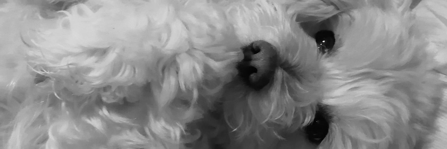 __sammanta's profile banner image
