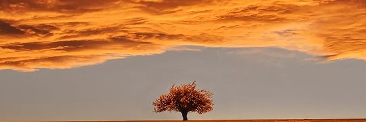 Joshua Ampofo banner