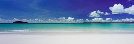 Fiona Lucas banner