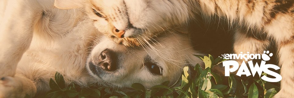 EnvisionPaws's profile banner image