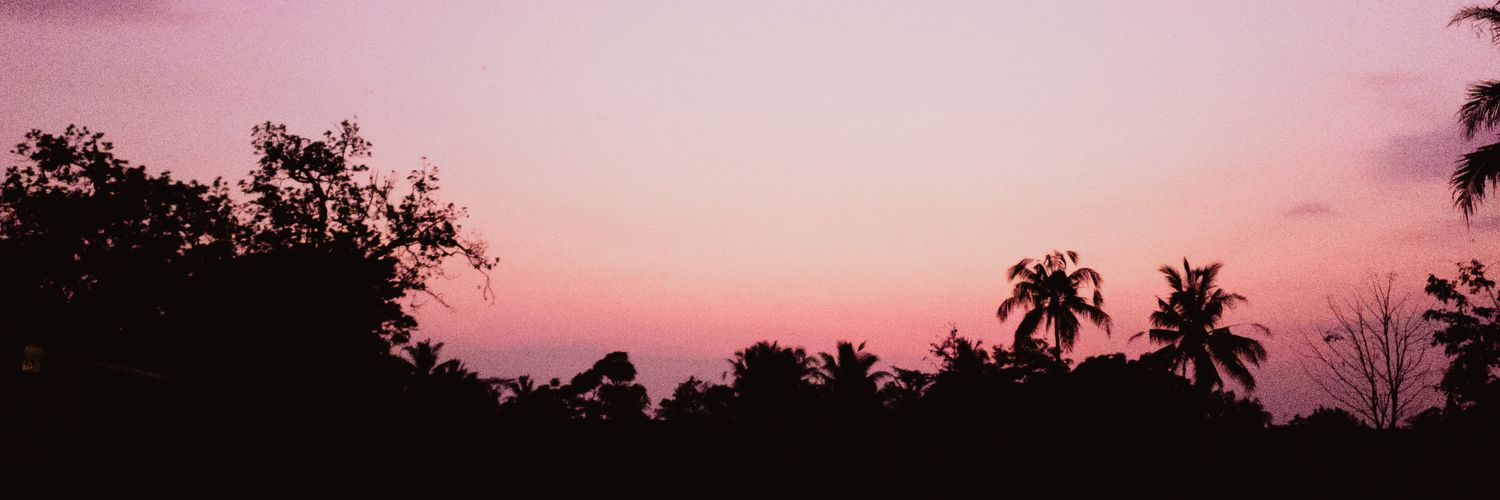 rnogstriando's profile banner image