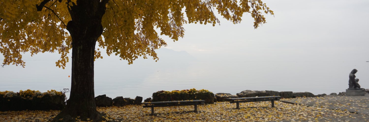 RoVi 🫧🐧🫧🦔🫧 banner