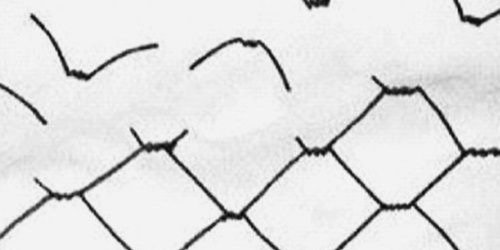 Libre_4046's profile banner image