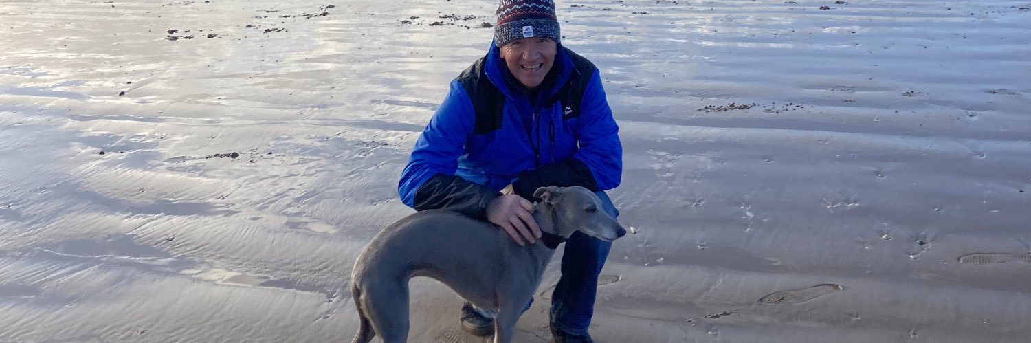 dwayne johnson banner