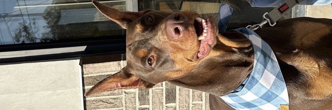 _001_Chairman's profile banner image