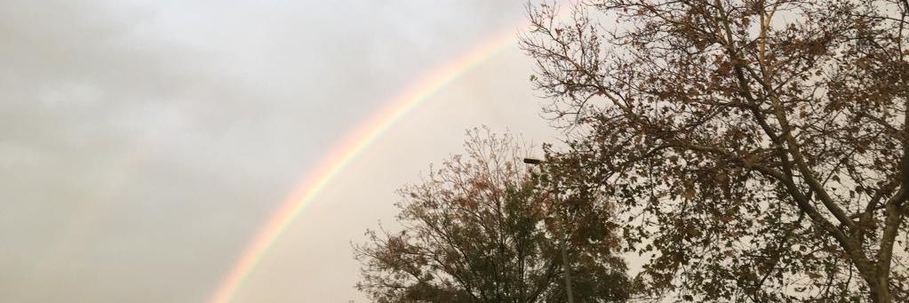 sttmst's profile banner image