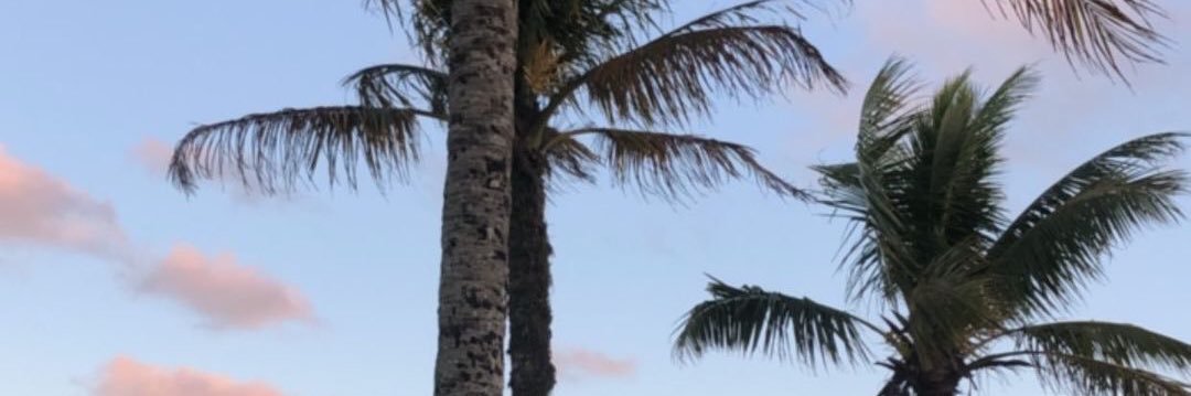 Stef_4nie's profile banner image