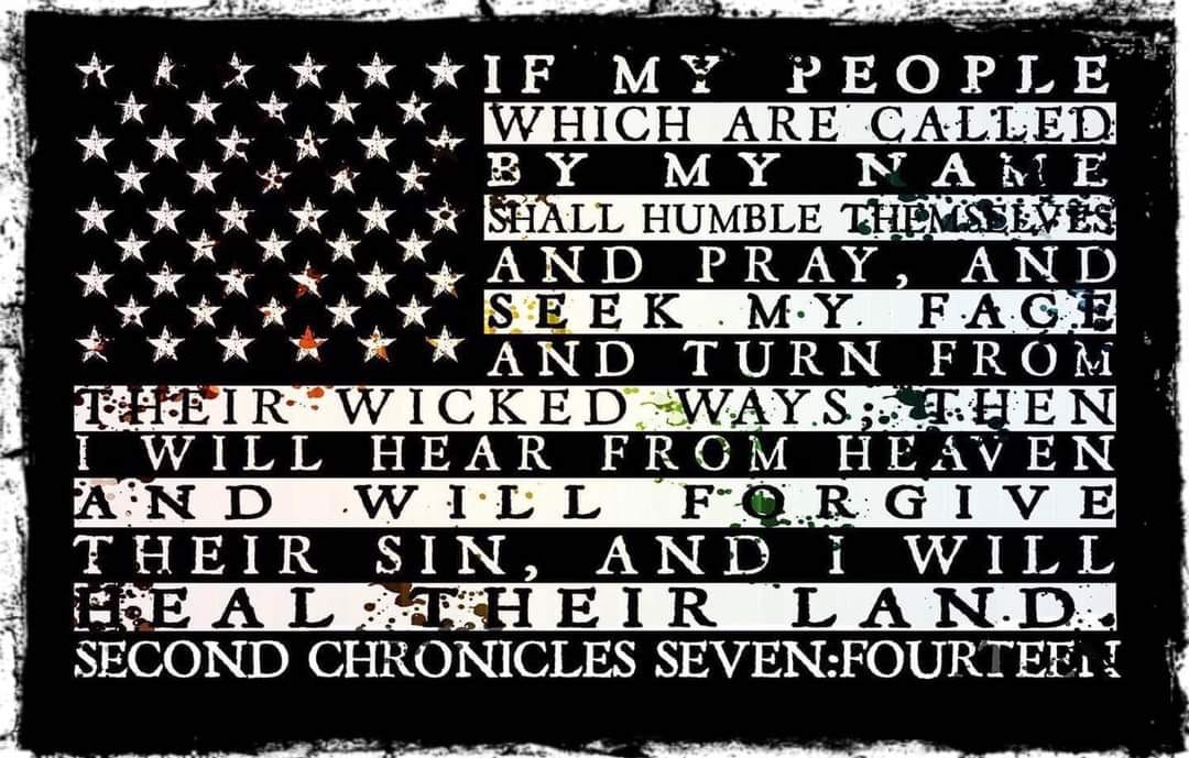 CWilliamson81's profile banner image