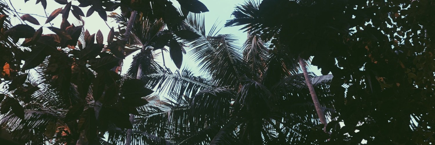 zarazaman_'s profile banner image