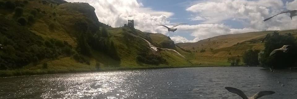 blaithinlynch's profile banner image