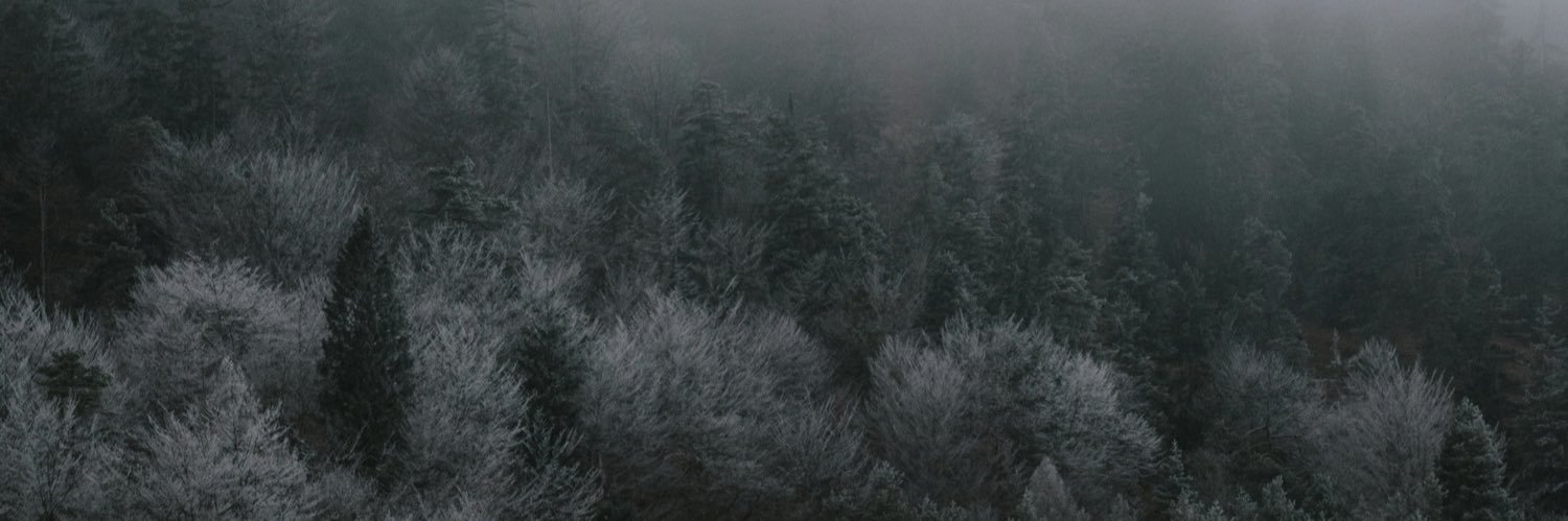 glizeeee banner