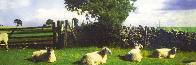 Anthony Birks banner