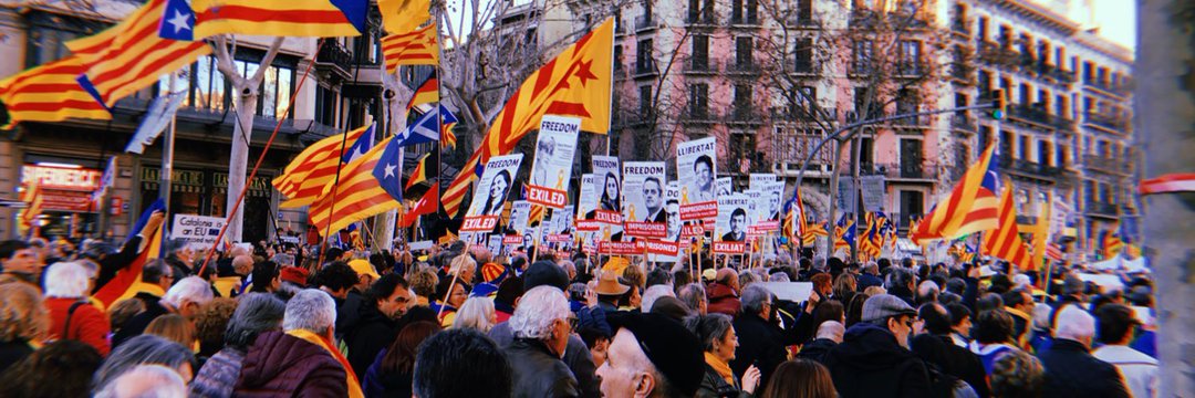 Mercè Feliu i Cuberes banner