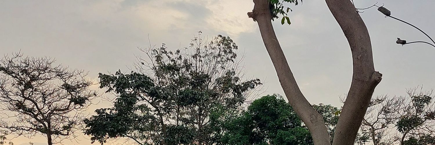 JazminZt's profile banner image