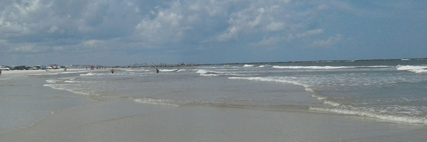 Patricia Brennan banner