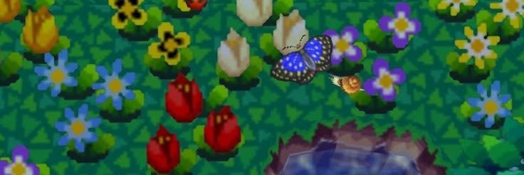 Delp_M's profile banner image