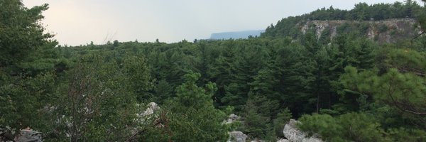 BASDMrsBraun Profile Banner