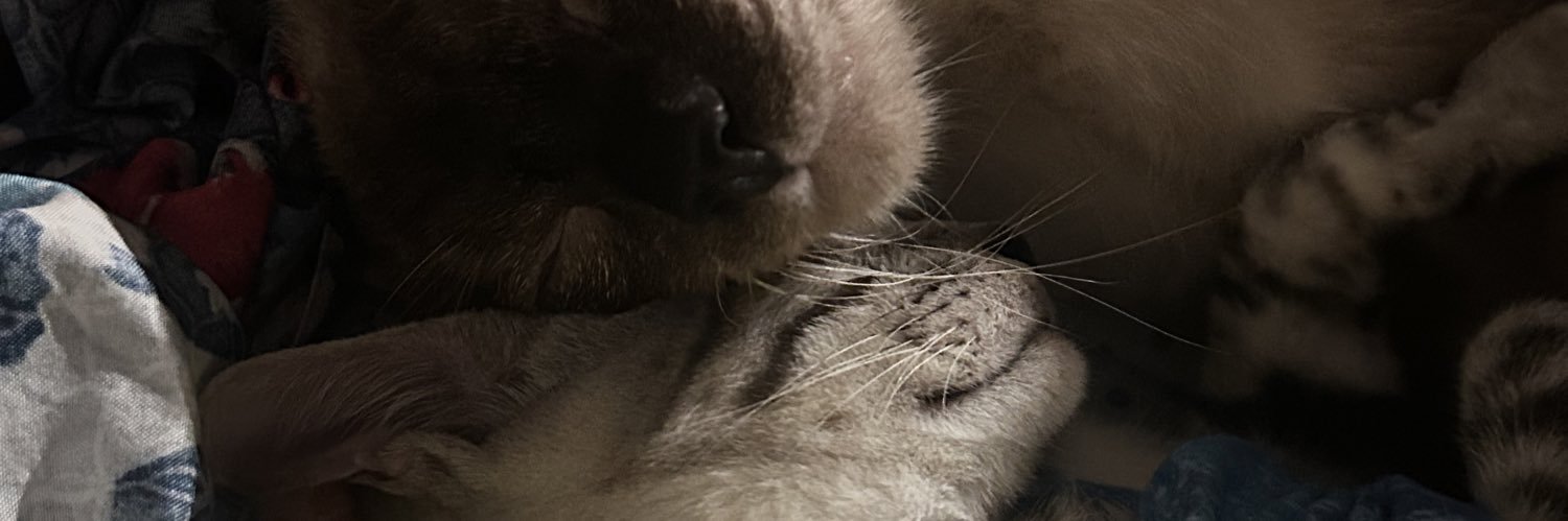 wissypuff's profile banner image