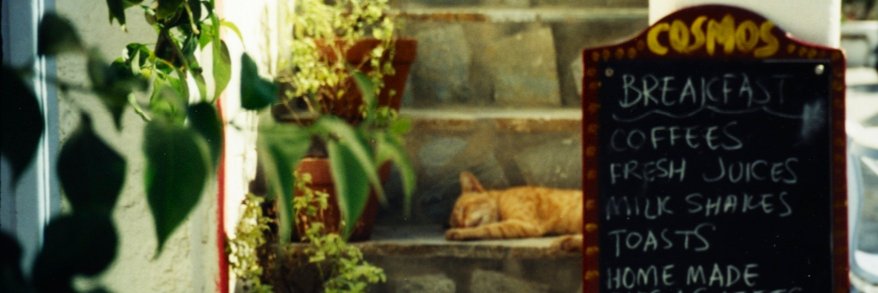 🇪🇺 🇮🇪 #pwME since 1973 banner