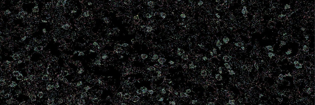 Violeta Durán banner