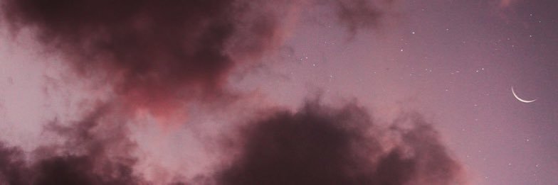 ssaracali's profile banner image