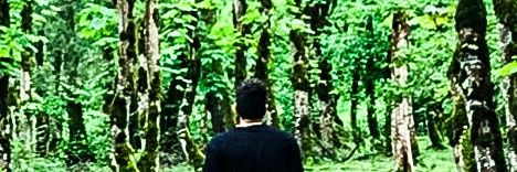 babakkheiry's profile banner image
