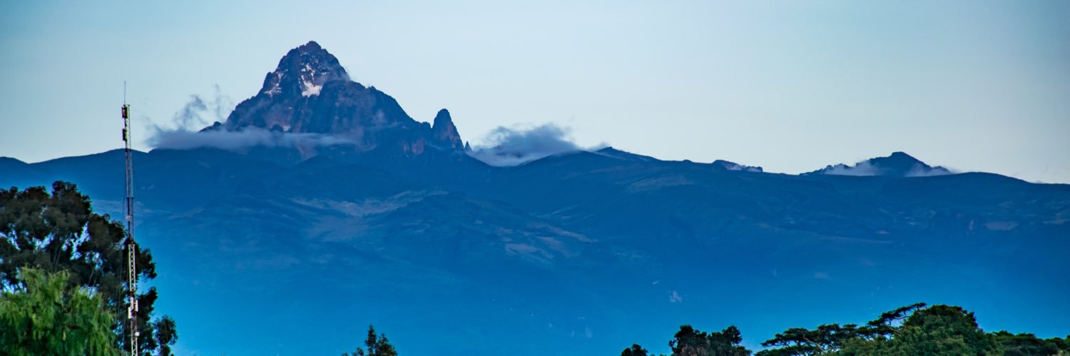 Innocent Bernd 🐘 banner