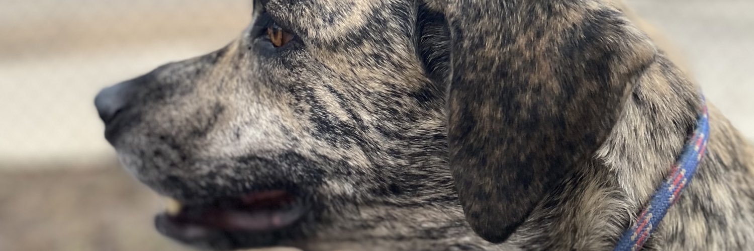 sydneyyn's profile banner image